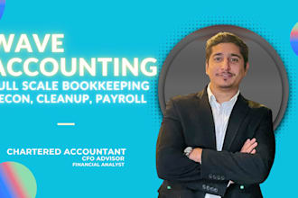 do wave bookkeeping, cleanup, and monthly online bookkeeping