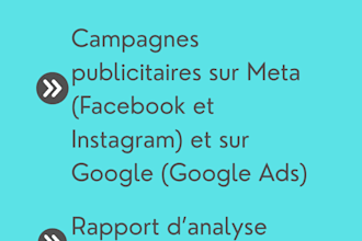 analyse des performances et création des campagnes meta et google ads