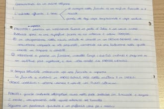 translate texts or write them