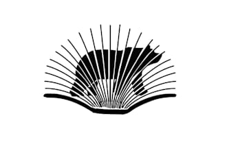 design southwest tech bears logo
