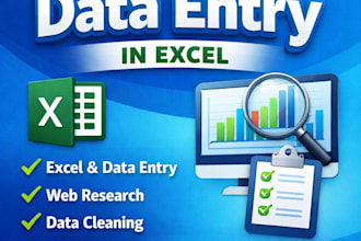 do accurate data entry in excel