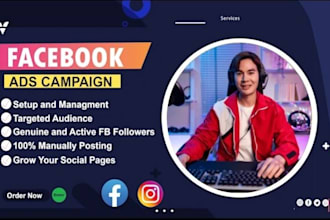 facebook marketing advertising campaign, set up fb ads, meta ads