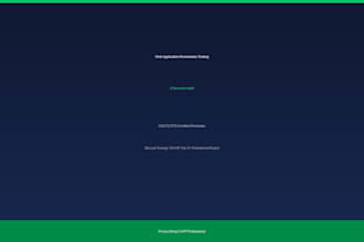 perform a professional web application penetration test