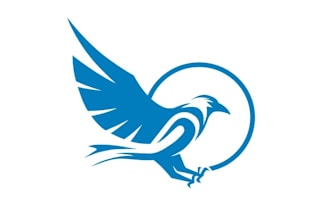 design southwest tech ravens logo