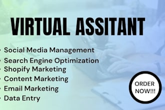 be your shopify virtual assistant, increase shopify sales, shopify pod manager