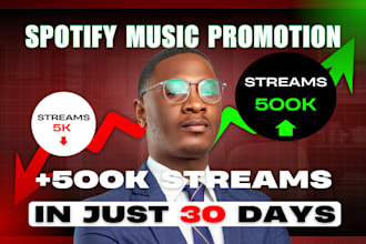 organic spotify promotion playlist submission music  marketing video promotion