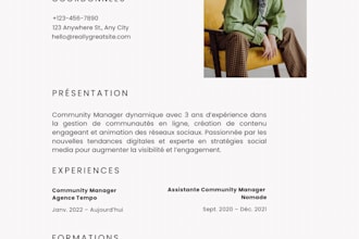 cv et lettre de motivation professionnels en moins de 24h