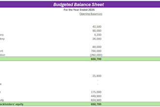 create a professional business budget and financial planning model in excel