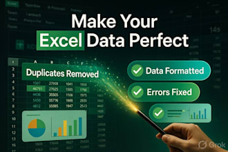 do excel data cleaning, data formating and remove duplicates