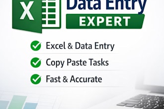 do professional data entry, excel work, and copy paste tasks