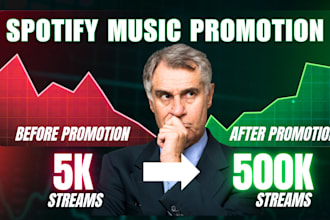 organic spotify promotion music marketing playlist submission