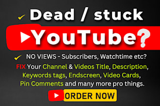 do SEO optimized youtube titles descriptions and tags for your videos