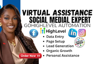 be your executive virtual assistance, gohighlevel expert ig fb linkedin mass dm