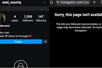takedown instagram mass report bot,tiktok banning report, facebook youtube dmca