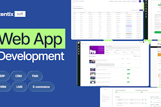 develop a custom web app, saas platform or mvp