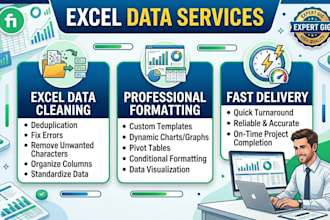 clean, format and organize your excel or CSV data professionally