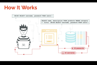 secure your website or app against sql injection, XSS, and ddos attacks