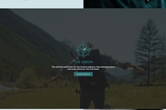 build a high performance website or shopify store