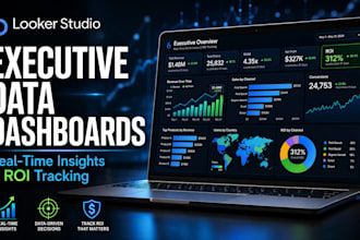 build professional looker studio dashboard for marketing ROI