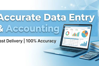 do fast and reliable excel data entry and accounting work
