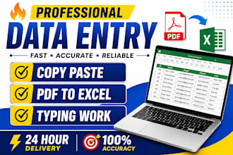 do fast data entry, copy paste ,PDF to word and excel