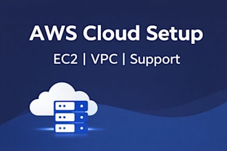help with basic AWS cloud setup and support