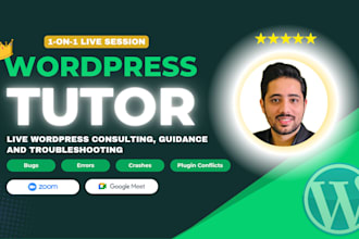 be your wordpress tutor for live consulting, wp troubleshooting and wp guidance