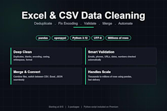 clean and process your excel or CSV data with python