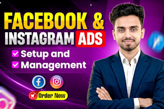 manage facebook ads and instagram ads campaign