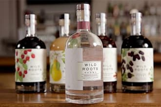 design luxury wine, vodka, beer bottle label