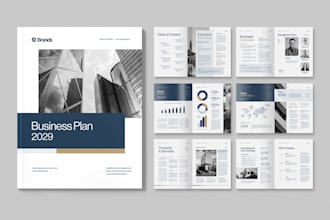 write a professional business plan for funding and growth