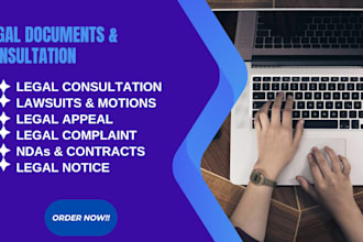 draft your motion for summary judgement, lawsuits, and legal advice