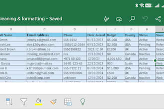 professional excel data entry, manual typing, and formatting