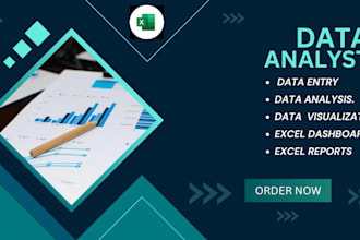 do excel data analysis,data entry,data visualization and dashboard creator