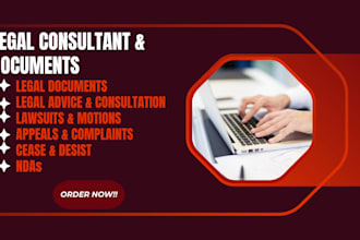 draft your court pleadings, petition, complaint, and nda
