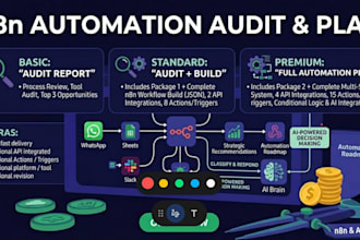 audit your business processes and build an n8n automation plan
