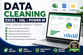 clean, format and organize excel data professionally