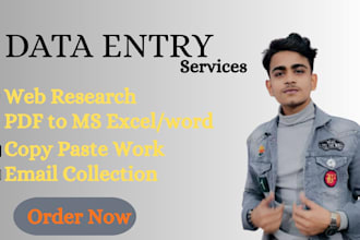 do data entry, internet research and data analysis