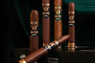 design premium cigar brands, labels, boxes, and logo