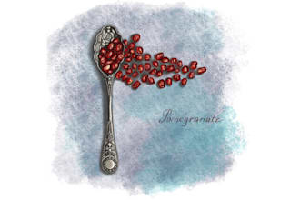 food illustrations for your brand or cookbook