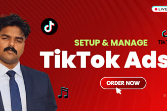 run tiktok ads campaign, tiktok advertising as your tiktok ads manager