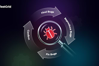 test your website for bugs and issues