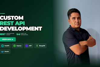 develop a custom rest API or integrate third party apis