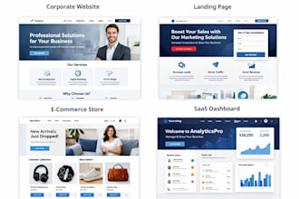 develop a professional saas application