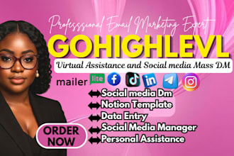 be your virtual assistant social media manager, mass dm gohighlevel crm notion