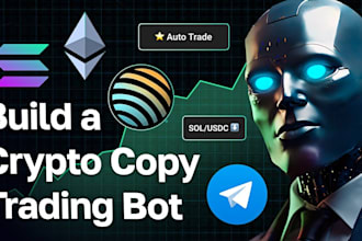 setup solana front running bot volume bot, arbitrage bot, copy trading bot