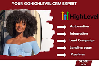 personal executive virtual assistant social media manager ghl notion crm mass dm