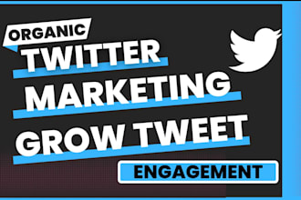 professionally do twitter x marketing