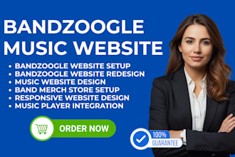 design bandzoogle website, redesign music website, bandzoogle merch store