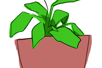draw 1 to 10 plants in color